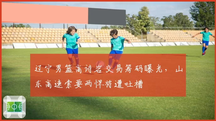 辽宁男篮高诗岩交易筹码曝光,山东高速索要两悍将遭吐槽