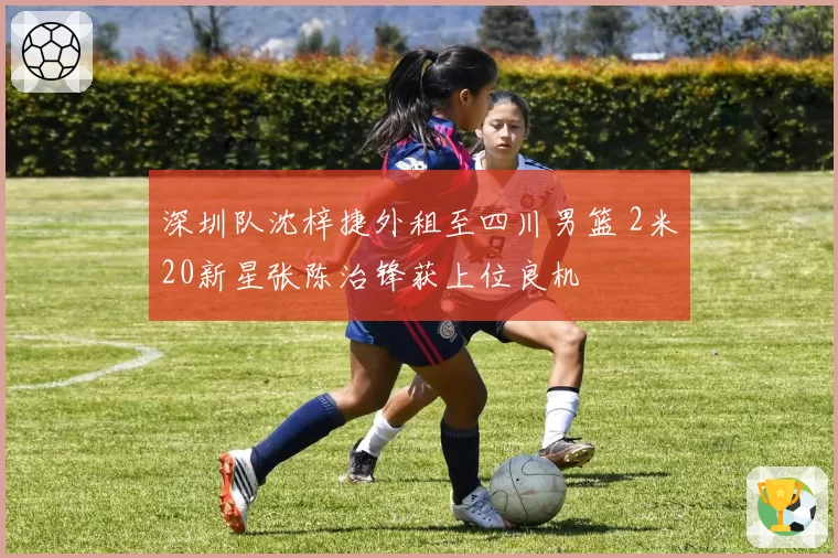 深圳队沈梓捷外租至四川男篮 2米20新星张陈治锋获上位良机