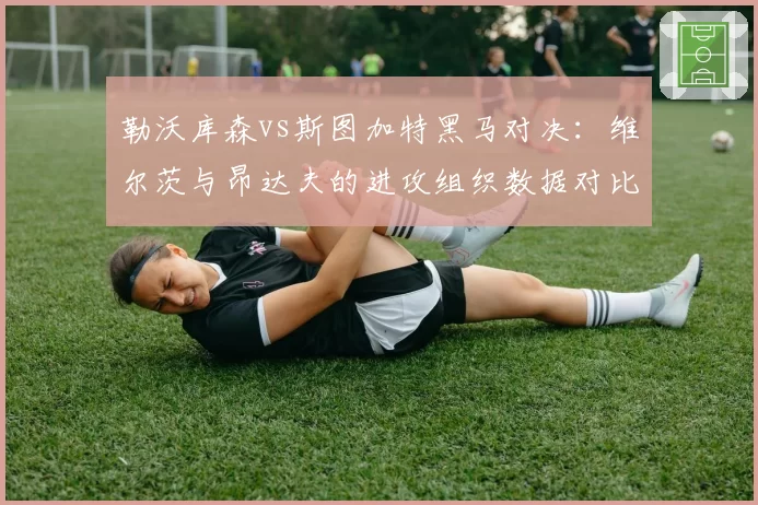 勒沃库森vs斯图加特黑马对决：维尔茨与昂达夫的进攻组织数据对比