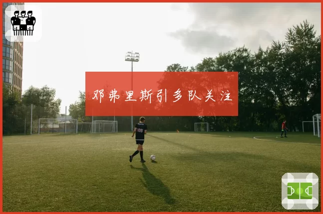 邓弗里斯引多队关注