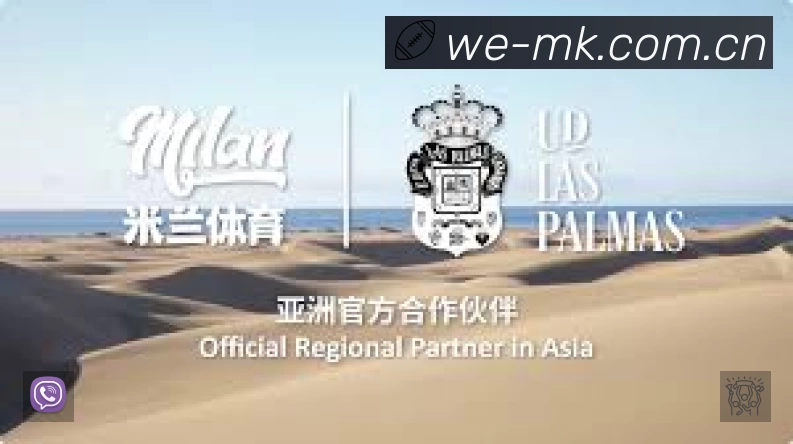 安全防护与风控机制